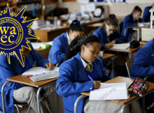 WAEC Runz 2024/2025 Expo Questions and Answers